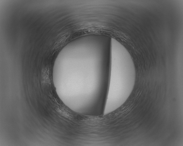 X0000054461060200507291015
