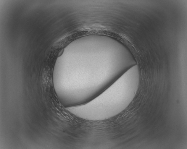 X0000054461063200507291015