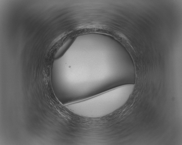 X0000054461064200507291015