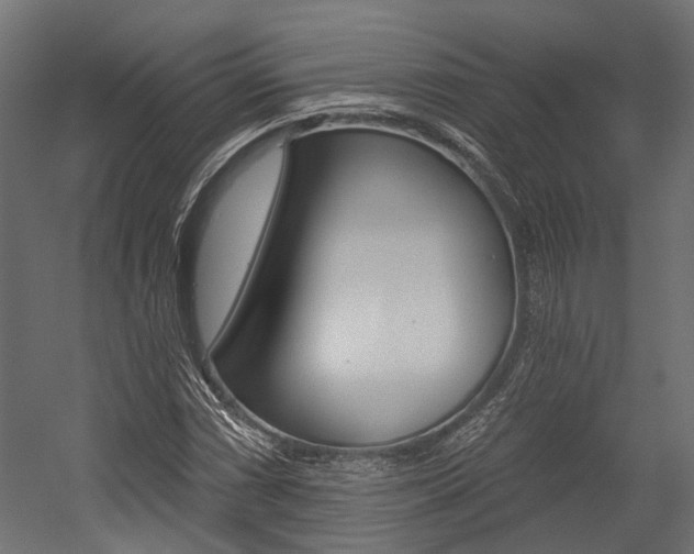 X0000054461066200507291015