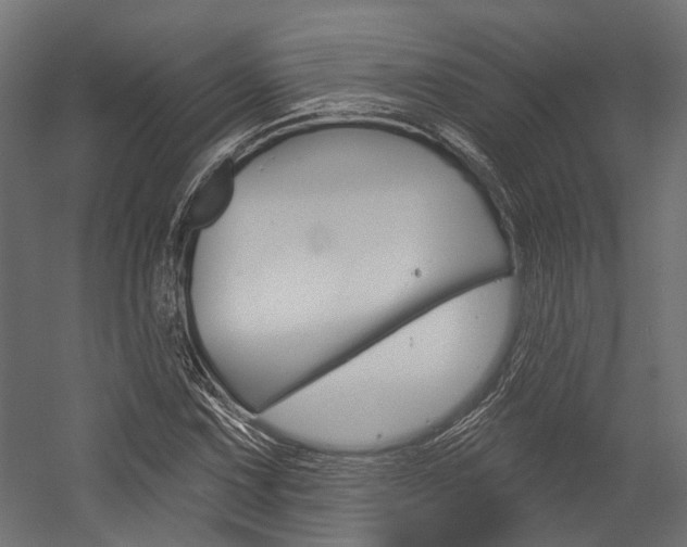 X0000054461067200507291015