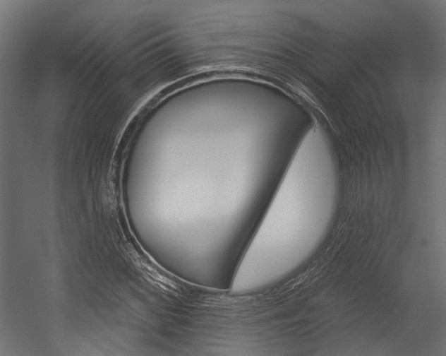X0000054461068200507291015