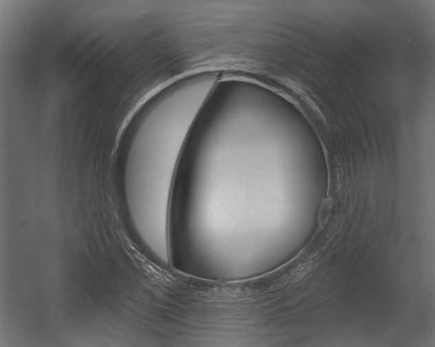 X0000054461069200507291015