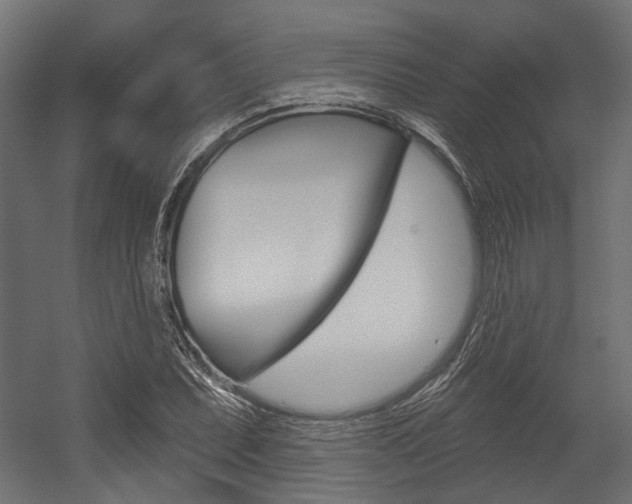 X0000054461071200507291015
