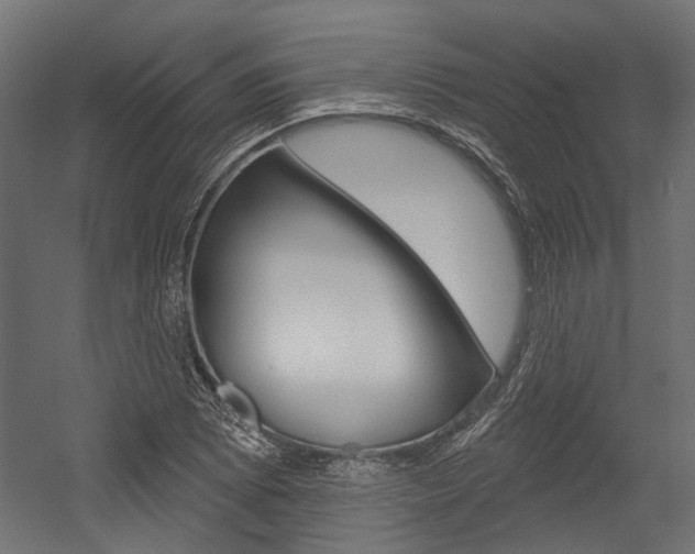 X0000054461073200507291015