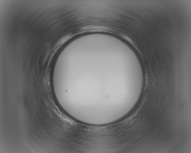 X0000054461074200507291015