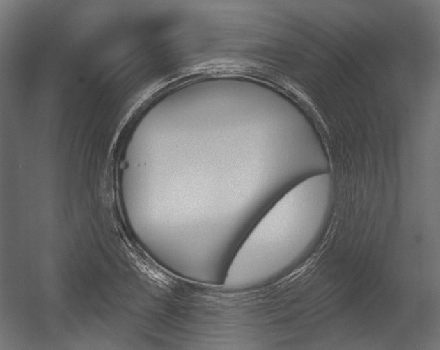 X0000054461075200507291015