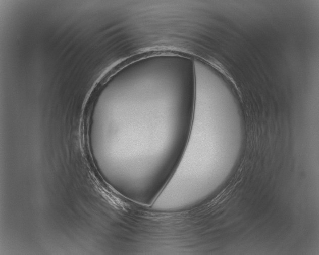 X0000054461076200507291015