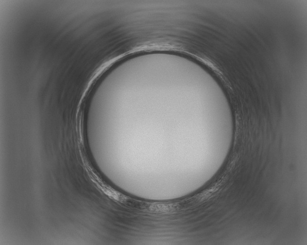 X0000054461078200507291015