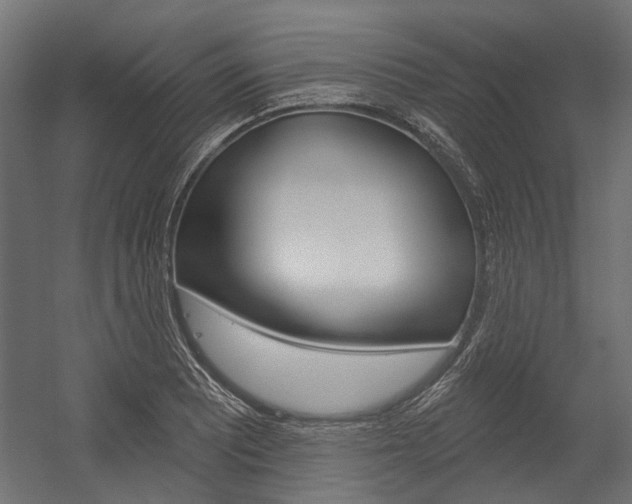 X0000054461081200507291015