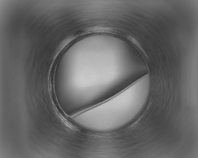 X0000054461082200507291015