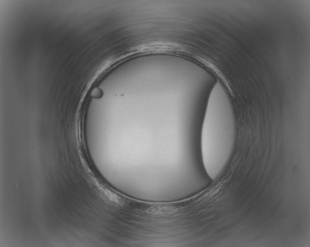 X0000054461083200507291015
