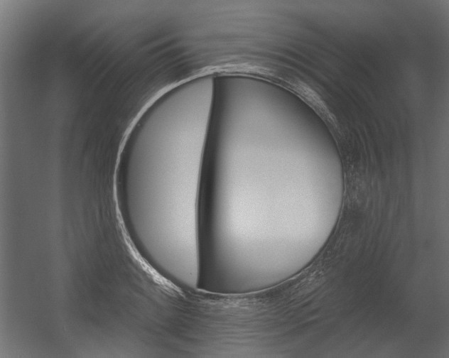 X0000054461084200507291015