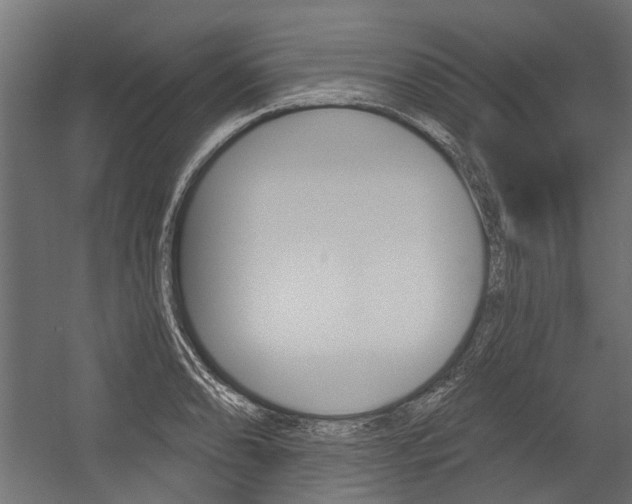 X0000054461086200507291015
