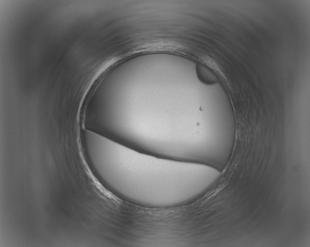 X0000054461087200507291015