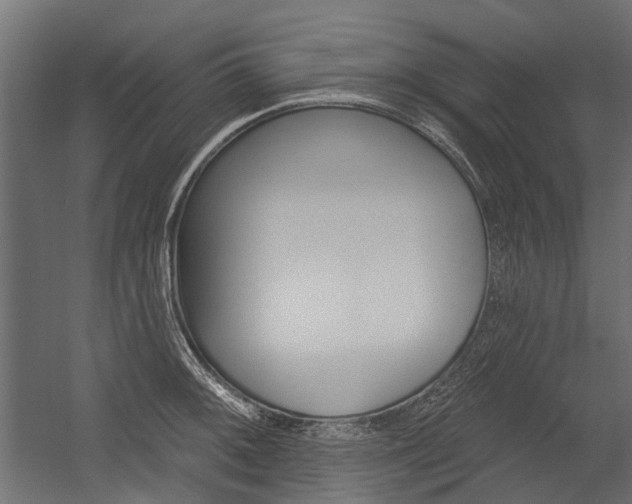 X0000054461092200507291015