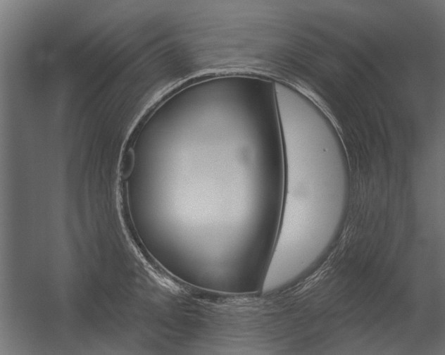 X0000054461093200507291015