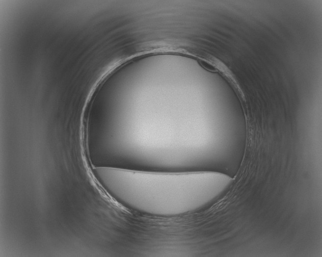 X0000054461096200507291015