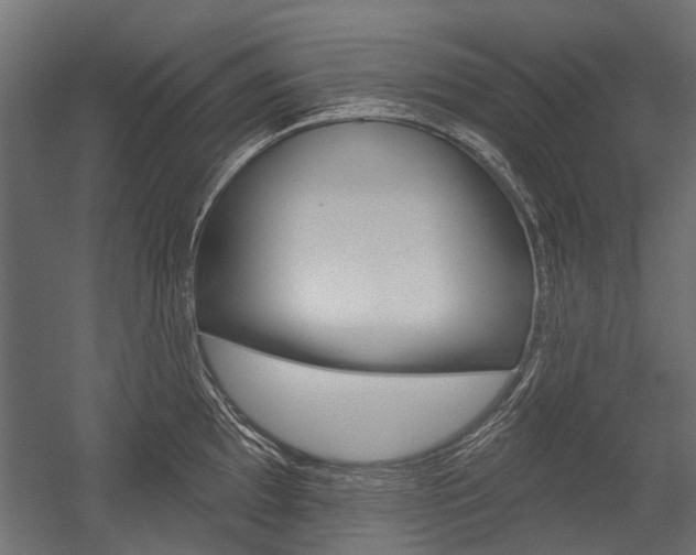 X0000054461097200507291015