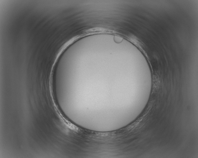 X0000054461098200507291015
