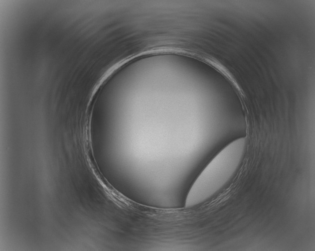 X0000054461101200507291015