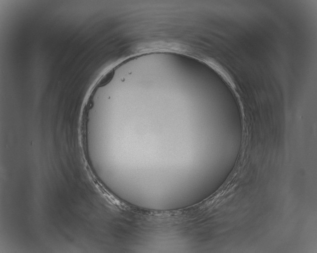 X0000054461104200507291015
