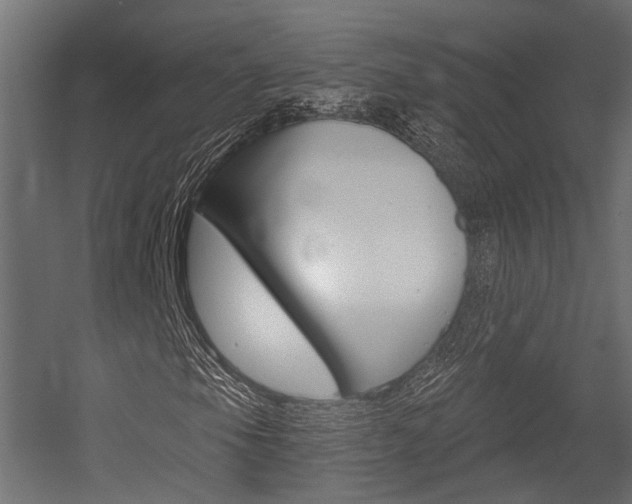 X0000054461105200507291014