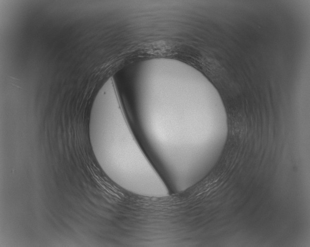 X0000054461106200507291014