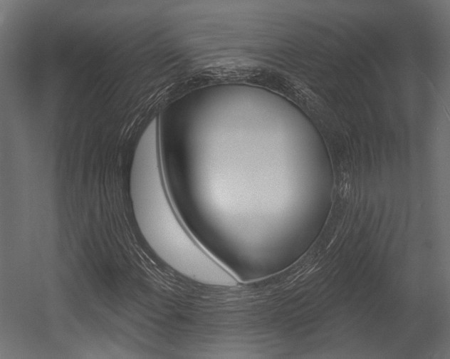 X0000054461108200507291014