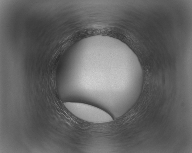 X0000054461109200507291014