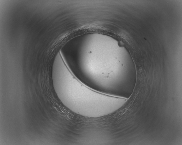 X0000054461111200507291014