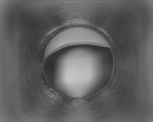 X0000054461112200507291014
