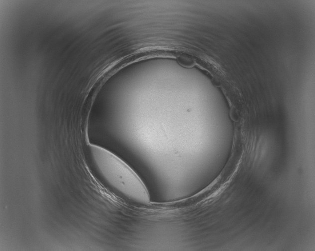 X0000054461113200507291014