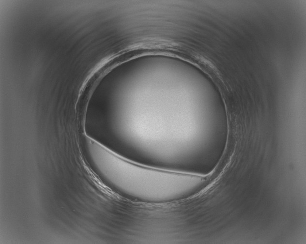 X0000054461114200507291014
