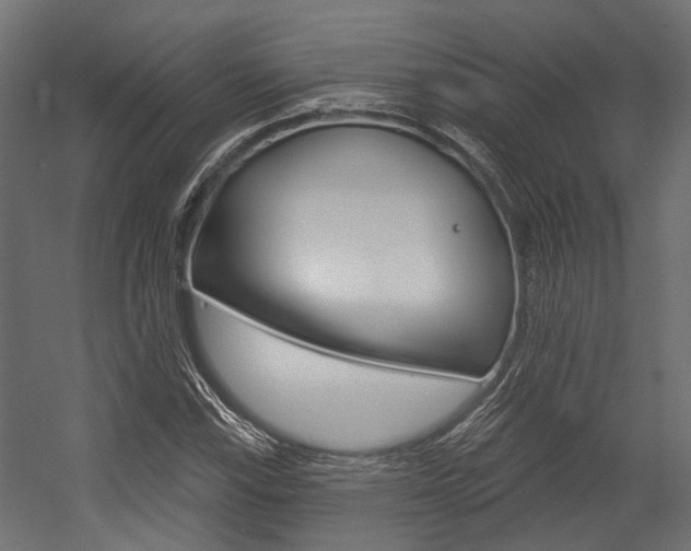 X0000054461115200507291014