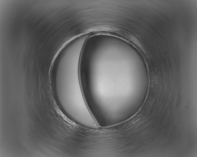 X0000054461116200507291014