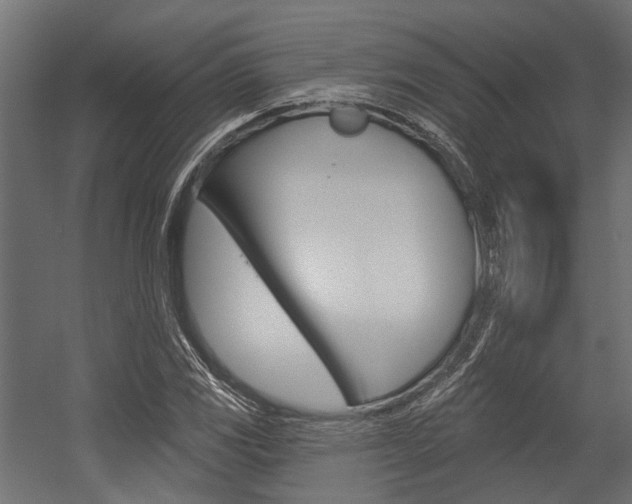 X0000054461117200507291014