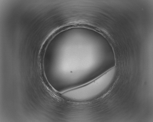 X0000054461118200507291014