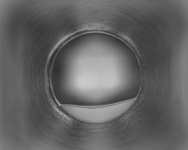 X0000054461120200507291014