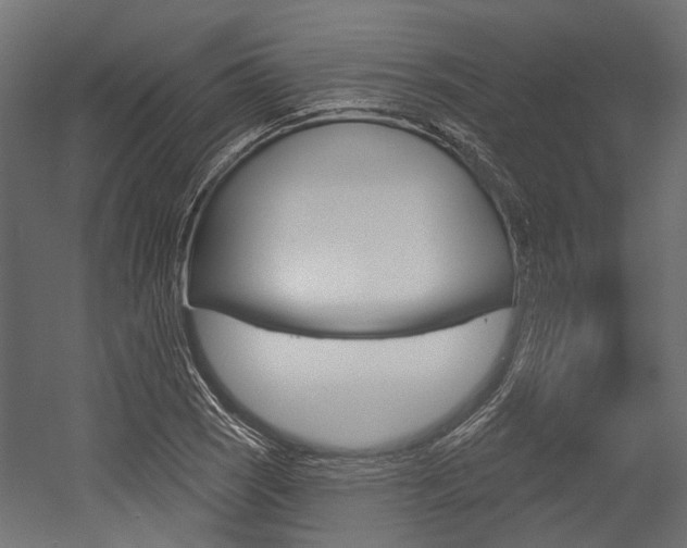X0000054461121200507291014
