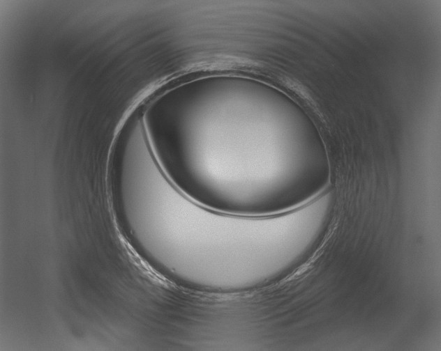 X0000054461122200507291014