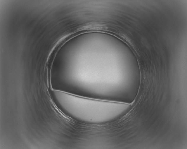 X0000054461123200507291014