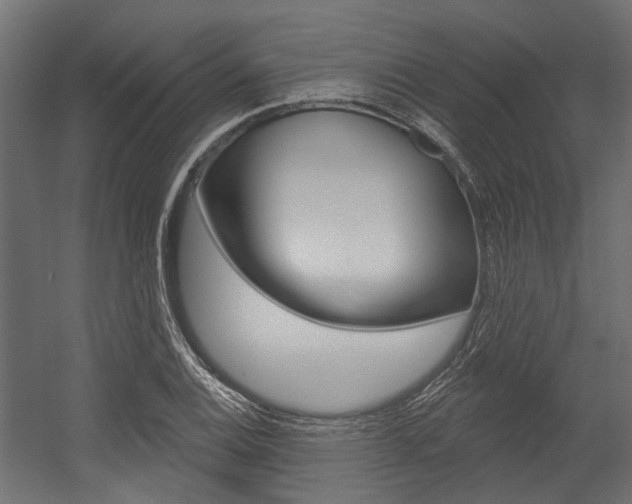 X0000054461124200507291014