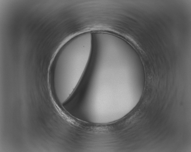 X0000054461126200507291014