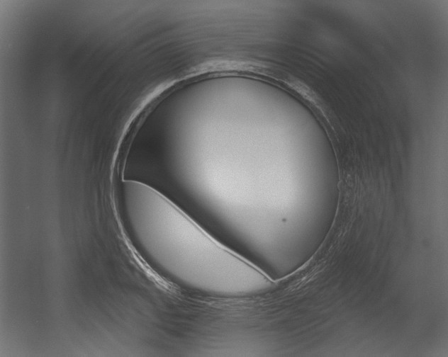 X0000054461127200507291014