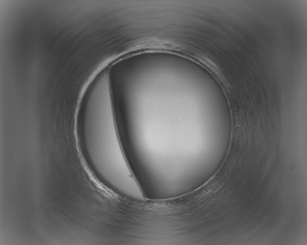 X0000054461128200507291014