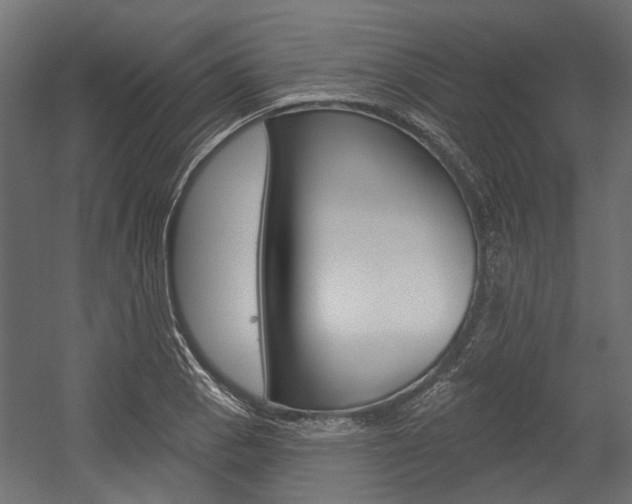 X0000054461129200507291014