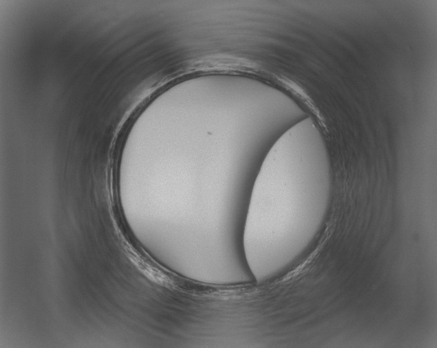 X0000054461130200507291014