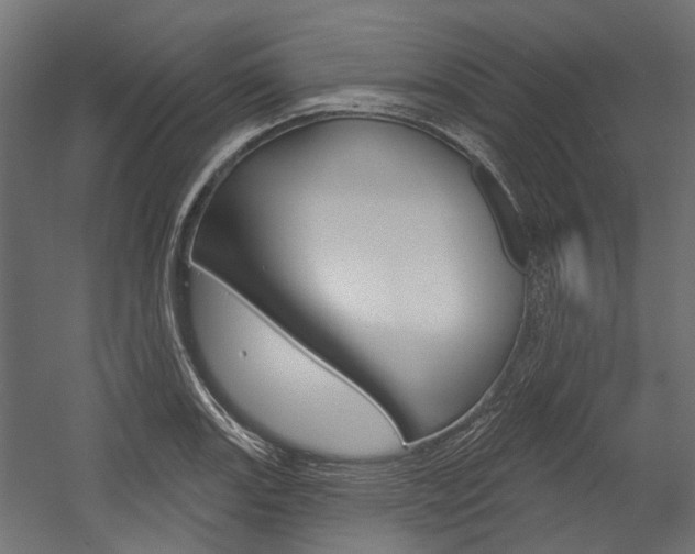 X0000054461131200507291014