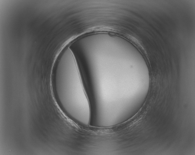X0000054461133200507291014